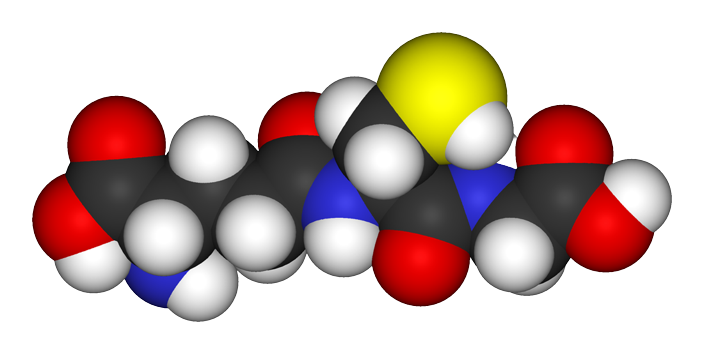Three-dimensional space-filling model of glutathione