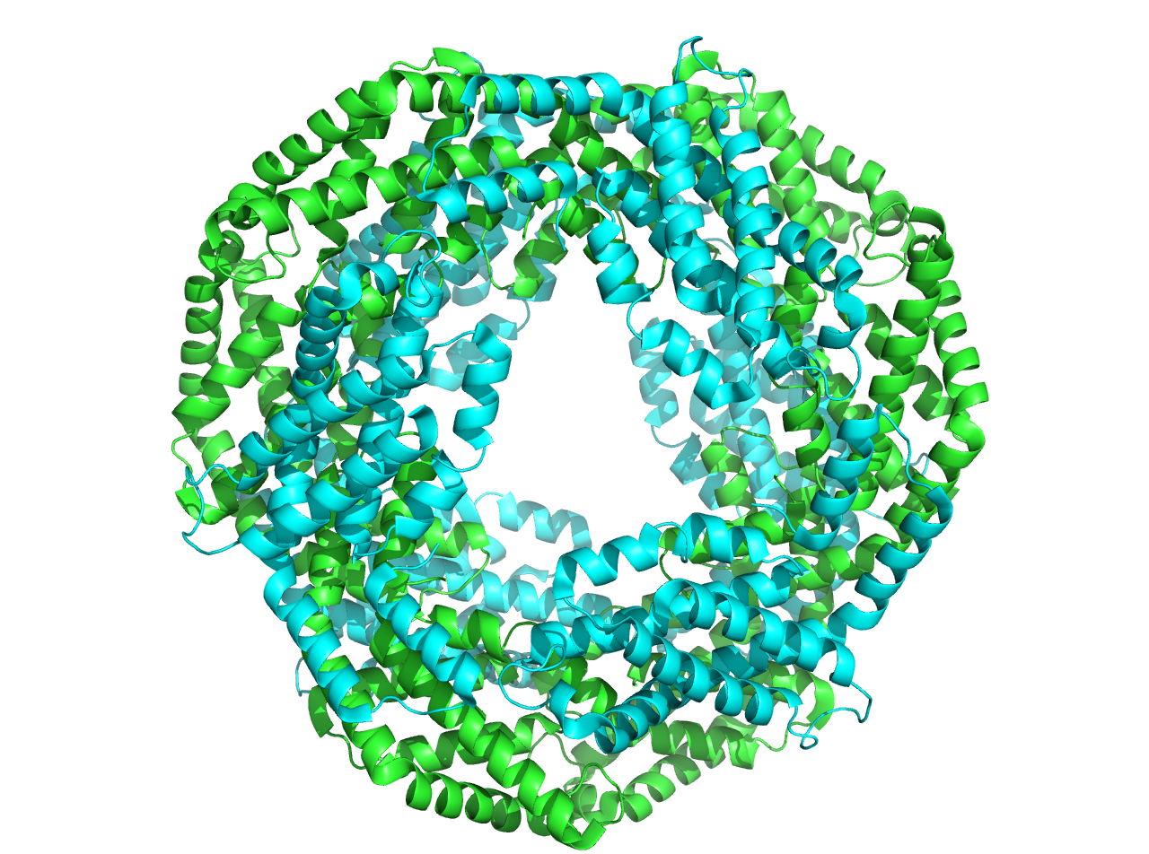 Three-dimensional visualization of a phycocyanin protein structure